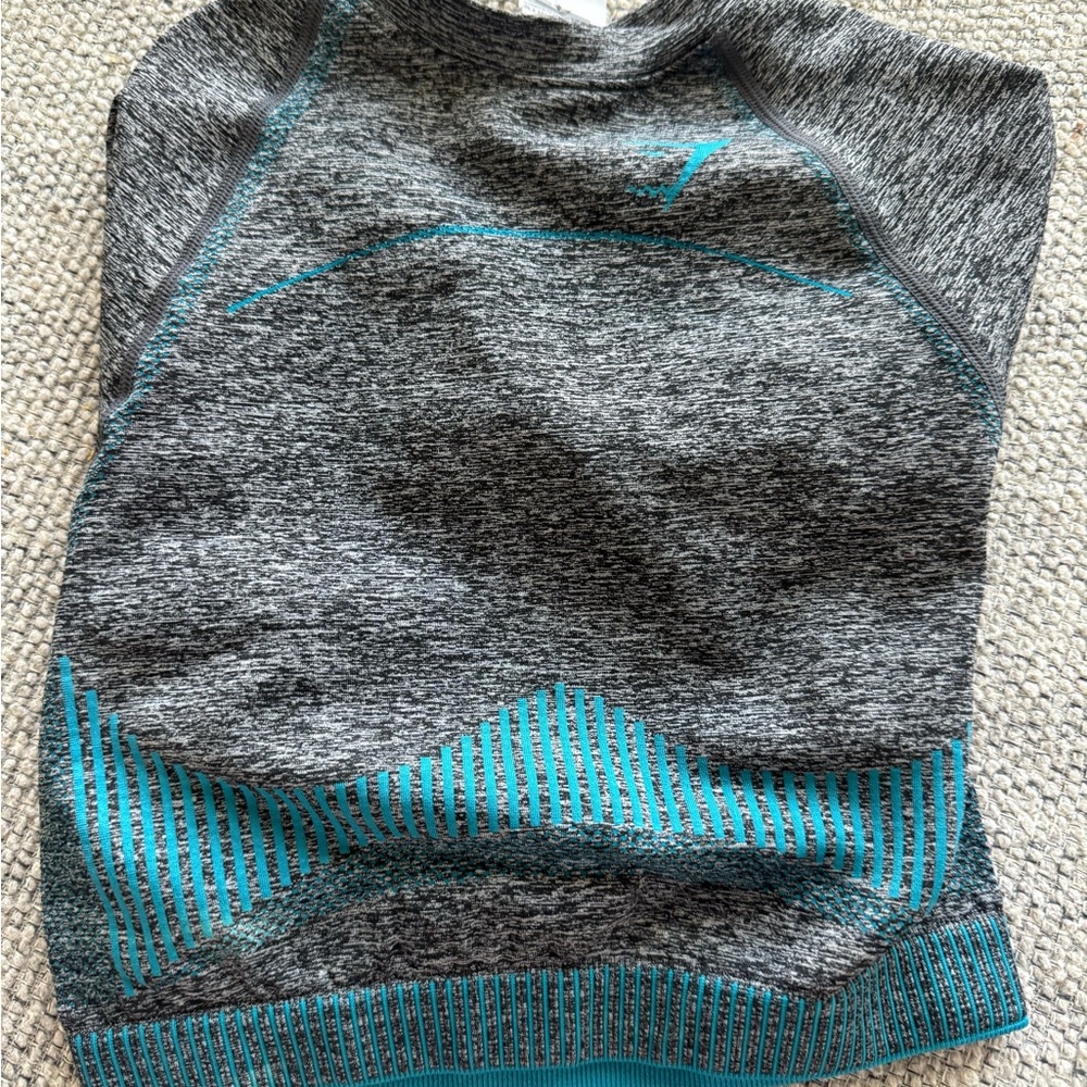 Gymshark Gray and Teal Crewneck Sweater